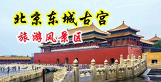 女人被大鸡巴操视频..com中国北京-东城古宫旅游风景区